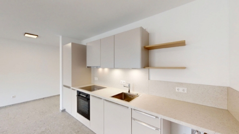 1-Zimmer-Appartement inkl. Einbauküche, TG-Stellplatz in Münster-Hiltrup! - Küche (91011)
