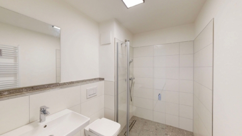 1-Zimmer-Appartement inkl. Einbauküche, TG-Stellplatz in Münster-Hiltrup! - Badezimmer (91012)