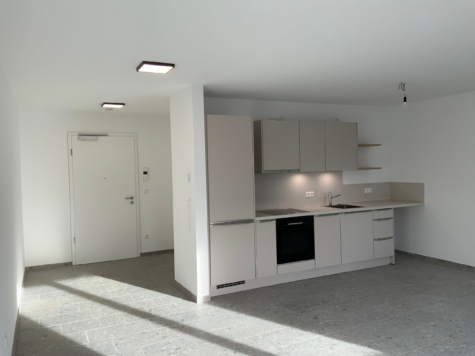 Schönes 1-Zi.-Appartement inkl. Einbauküche, TG-Stellplatz in Münster-Hiltrup - Foto 2