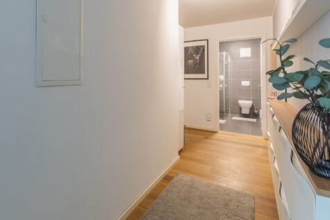 Kleine 2-Zimmer-Erdgeschosswohnung mit Atrium und Garten am Münsteraner Hafen! - Flur (94741)