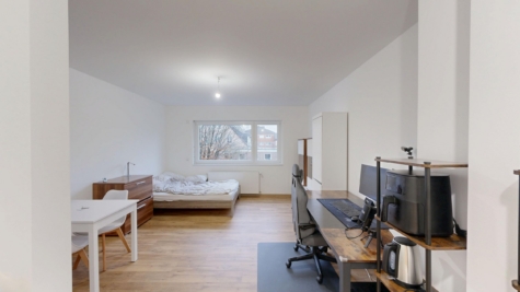 Helle 1-Zimmer-Wohnung mit moderner Ausstattung in Münster-Nord! - Wohnbereich (88127)
