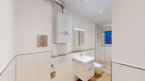 Stilvolles Wohnen in Aasee-Nähe: Exklusive 2-Zimmer-Wohnung - Badezimmer (85270)