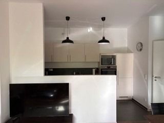 Schöne 2-Zimmer-Wohnung mit Loggia am Bohlweg. - Wohnen / offene Küche (94767)